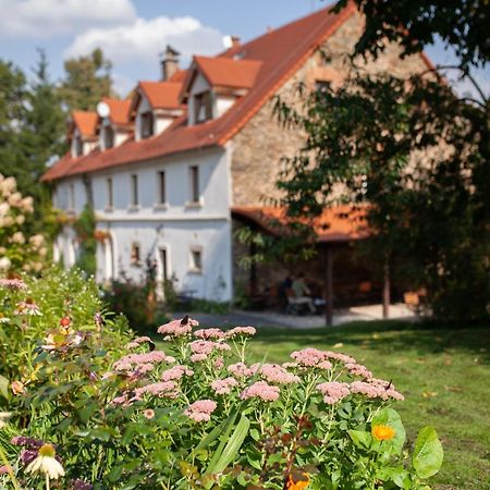 Villa Greta Świerzawa Εξωτερικό φωτογραφία