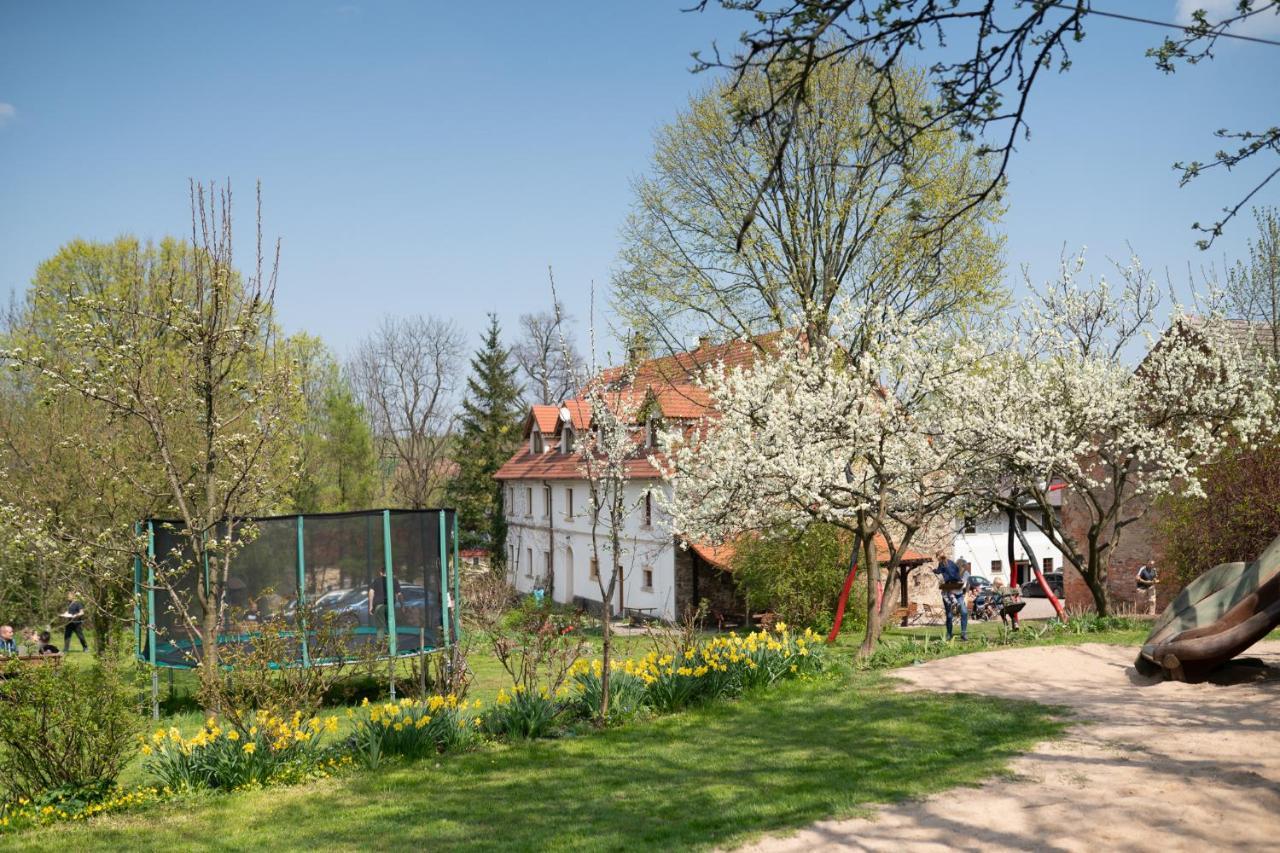 Villa Greta Świerzawa Εξωτερικό φωτογραφία